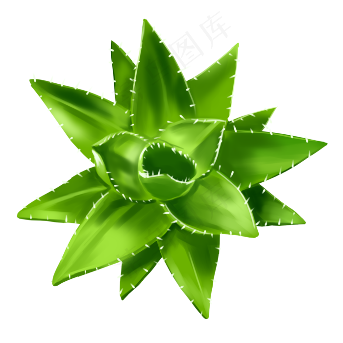 芦荟完整平面绿色变化伸展卡通花,免抠元素