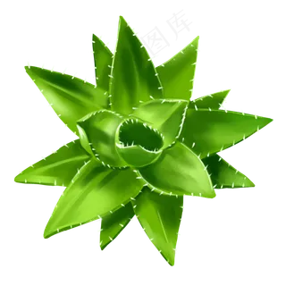 芦荟完整平面绿色变化伸展卡通花,免抠元素