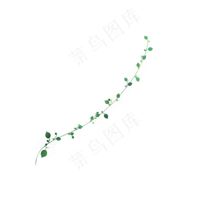 小清新藤蔓树叶免抠