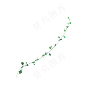 小清新藤蔓树叶免抠