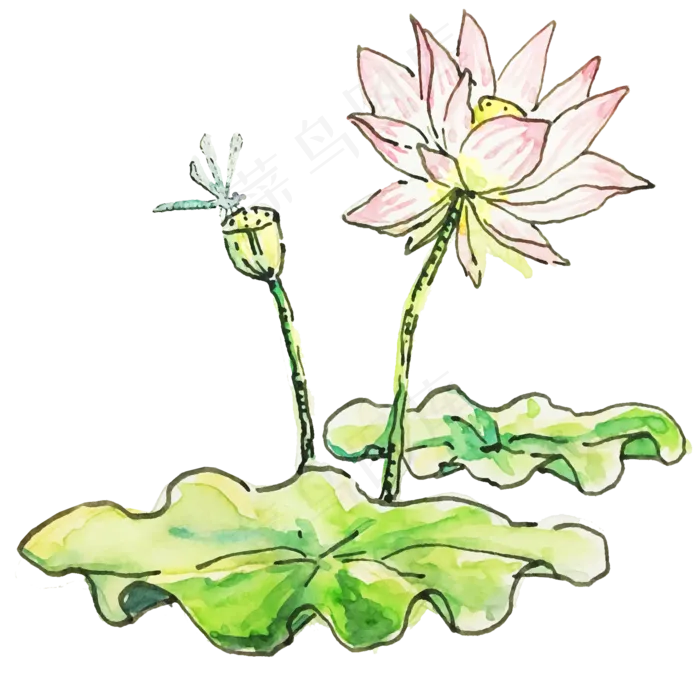 二十四节气之处暑植物荷花可商用(2000X2000(DPI:96))psd模版下载