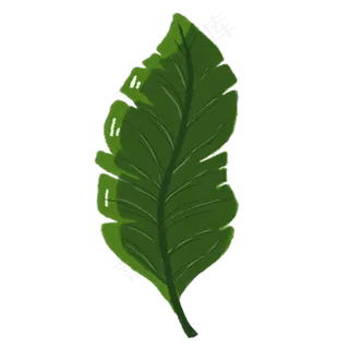 绿色热带植物叶子元素 绿色热带植物叶子元素