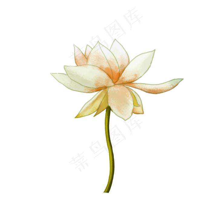 白色荷花装饰图案