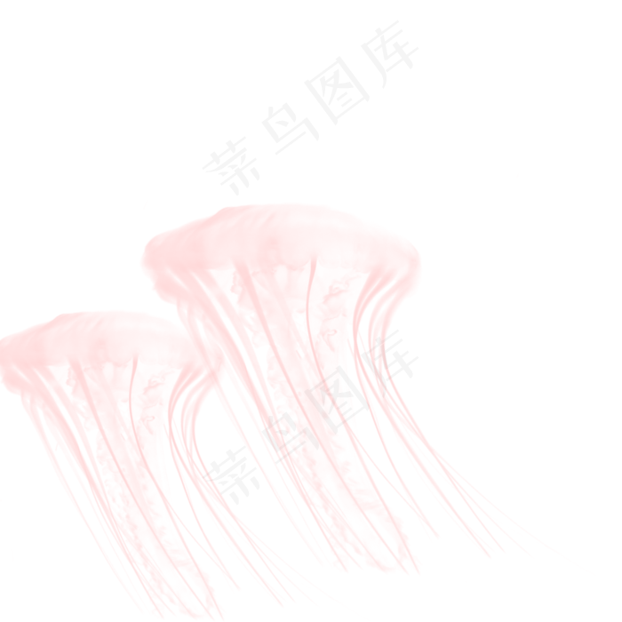 海洋水母彩色乌贼水母元素,免抠元素