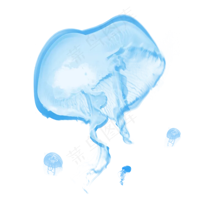 蓝色海底水母章鱼元素,免抠元素(2000*2000px 300 dpi )psd模版下载