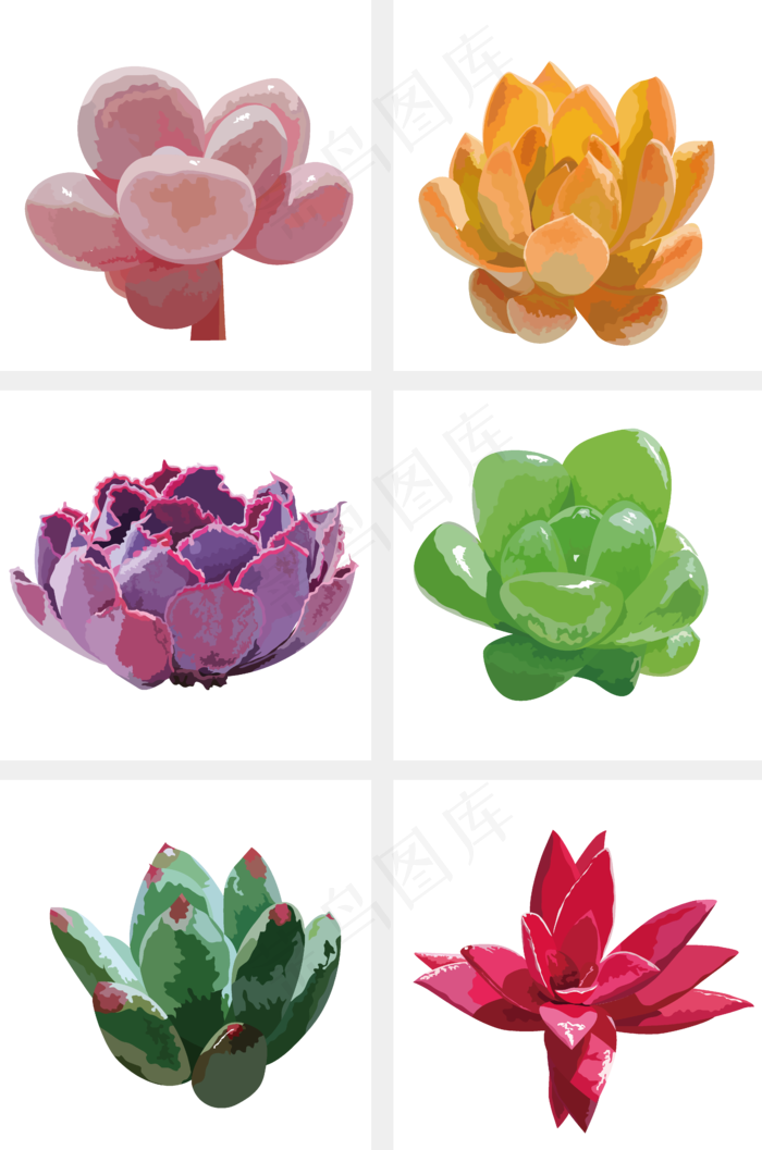 手绘矢量多肉植物,免抠元素
