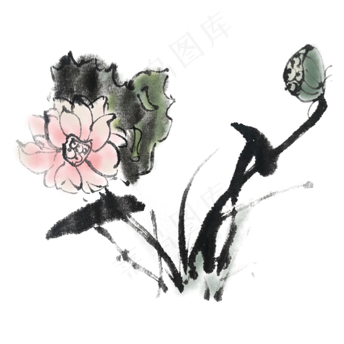 中国风手绘水墨荷花插画素材