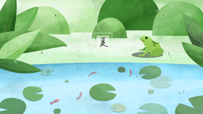 夏季池塘里鱼荷叶间游岸边青蛙在植物丛中(2880*1620px 300 dpi )