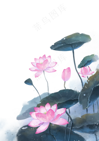 中国风水墨素材荷花,免抠元素