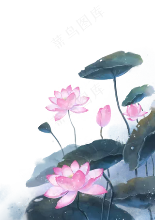 中国风水墨素材荷花,免抠元素