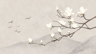 古风花绘之玉兰花