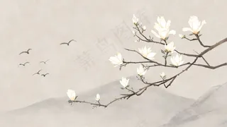 古风花绘之玉兰花