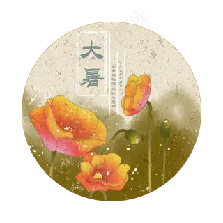 节气大暑罂粟花插图