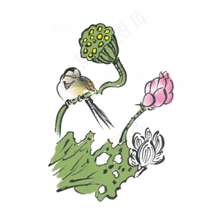 夏天清凉芙蓉手绘水墨