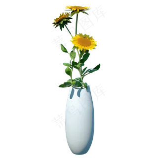 C4D植物类仿真向日葵,免抠元素
