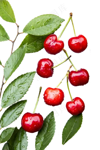 新鲜美味的樱桃