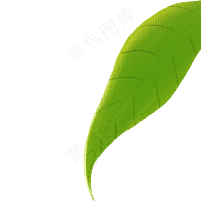 卡通植物绿叶下载