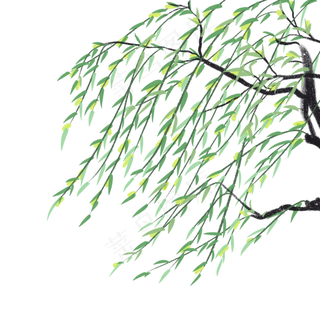 春风轻轻吹动柳叶,免抠元素