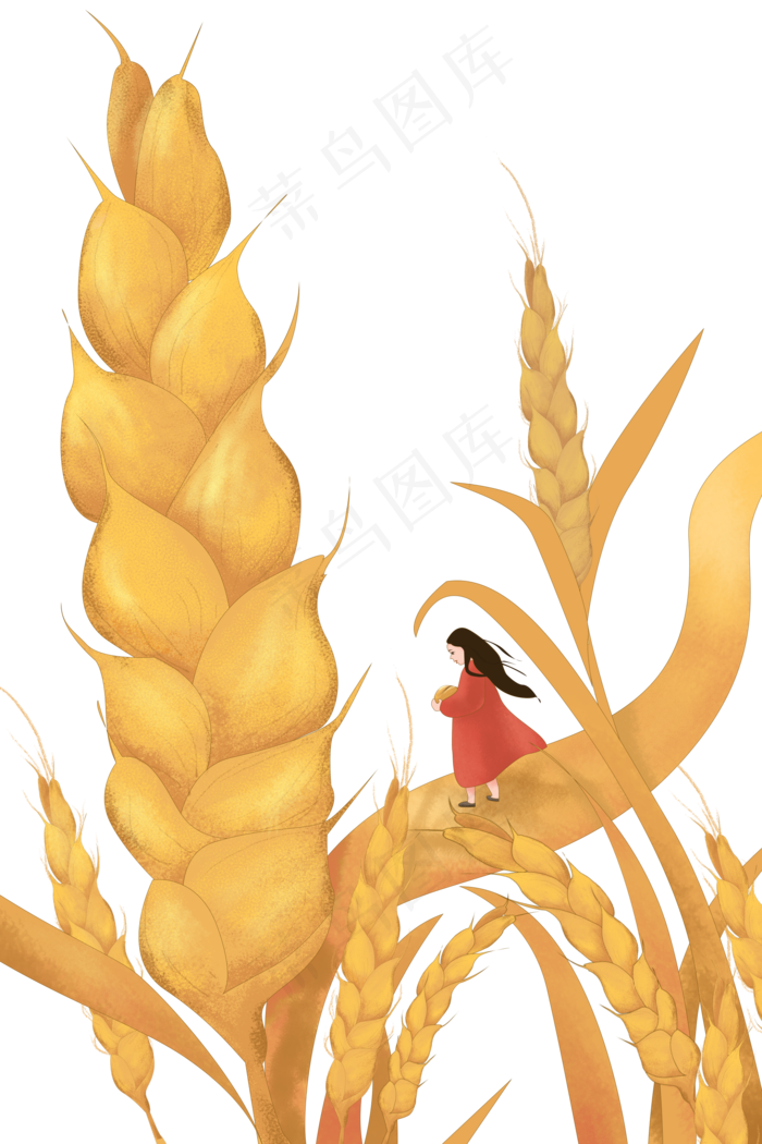 十二节气之芒种手绘插画png素材