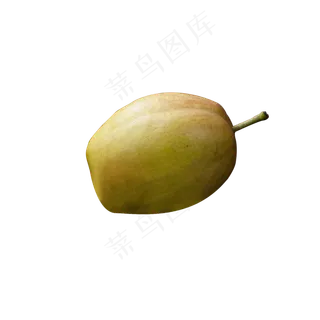 一个新鲜美味的香梨