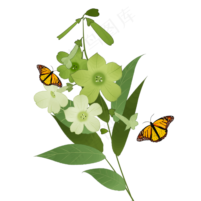 中国风花卉绿色烟草花蝴蝶装饰画(3000X3000(DPI:300))psd模版下载