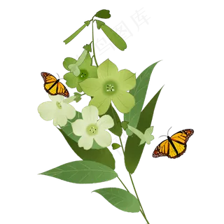 中国风花卉绿色烟草花蝴蝶装饰画