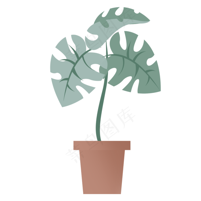 绿色植物叶子花盆