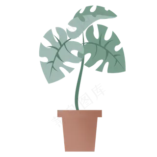 绿色植物叶子花盆