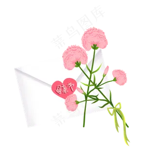 母亲节礼物康乃馨插图