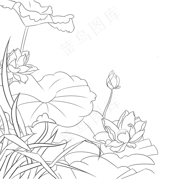 手绘中国风线条荷叶植物,免抠元素(3000X3000(DPI:300))psd模版下载