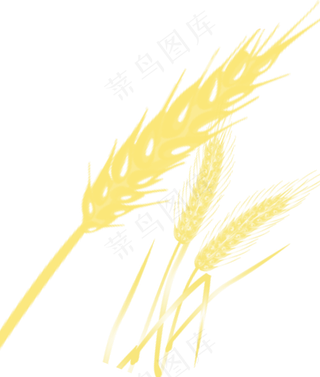 卡通手绘黄色小麦
