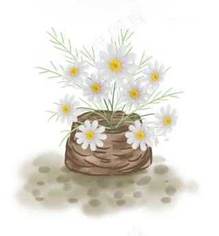 花篮里的白色菊花