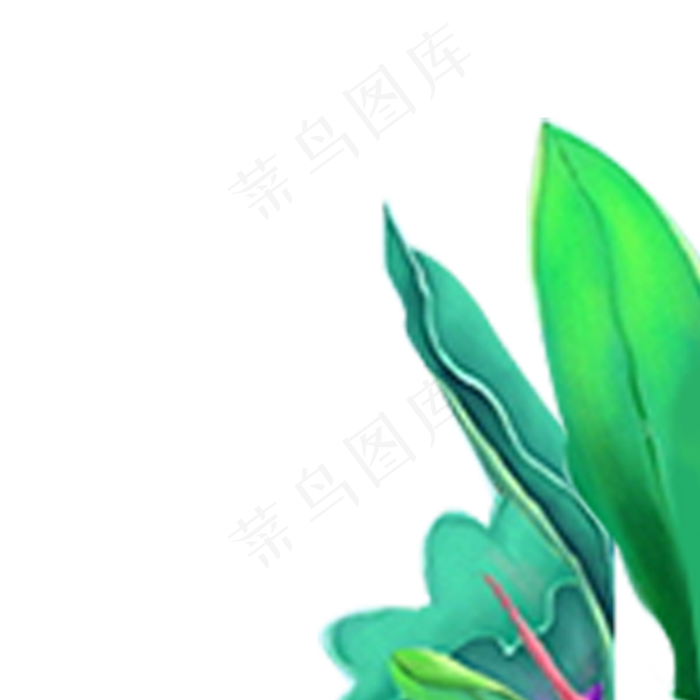植物绿叶