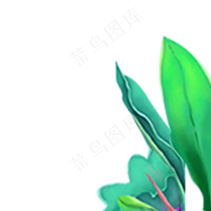 植物绿叶