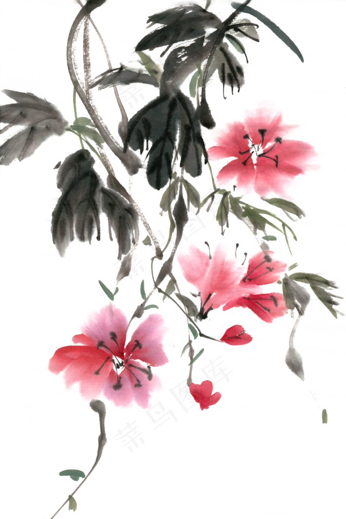 鲜艳的花水墨画PNG免抠素材(4724X7087(DPI:300))psd模版下载