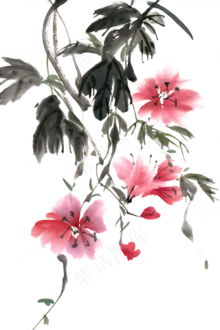 鲜艳的花水墨画PNG免抠素材