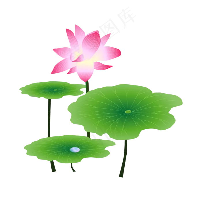 夏季荷花荷叶(4167*4167px 300 dpi )ai矢量模版下载