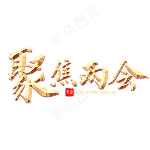 聚焦两会金色书法