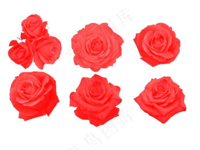 七夕情人节玫瑰素材免扣png