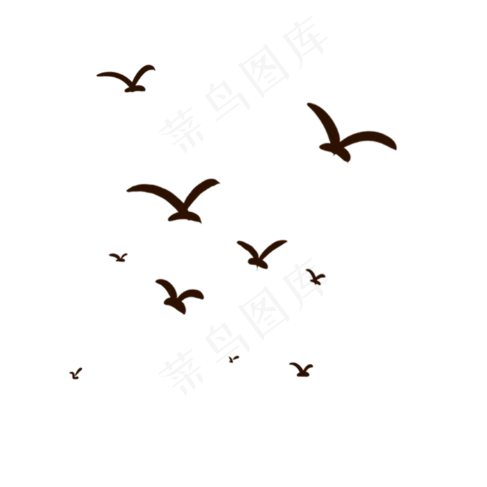 黑色的大雁免抠图(2000*2000px 300 dpi )psd模版下载