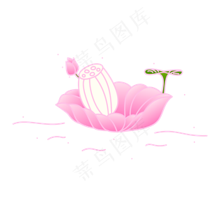 荷花季矢量手绘荷花