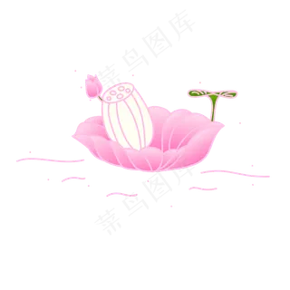 荷花季矢量手绘荷花
