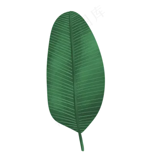 手绘水彩大片叶子元素