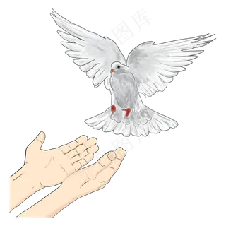 五四青年节双手放飞和平鸽