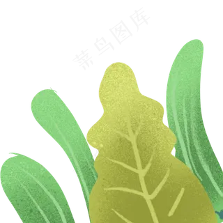 草丛春季自然植物