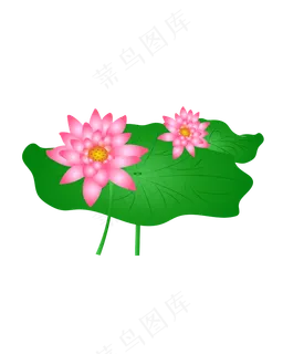 手绘卡通粉色荷花