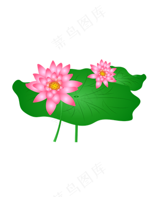 手绘卡通粉色荷花