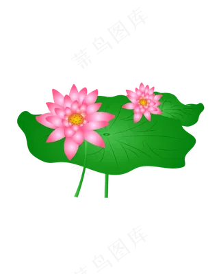 手绘卡通粉色荷花