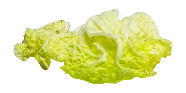 包菜叶子 包菜叶子