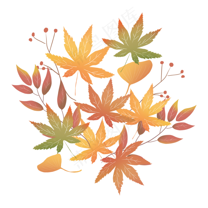 枫叶树叶落叶秋天树枝银杏叶(2362X2362(DPI:300))psd模版下载